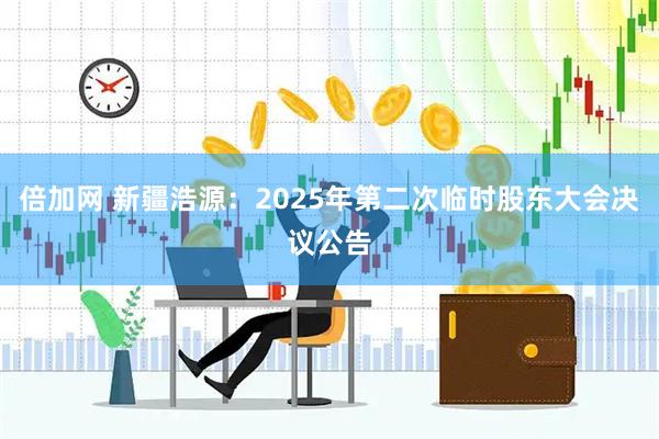 倍加网 新疆浩源：2025年第二次临时股东大会决议公告