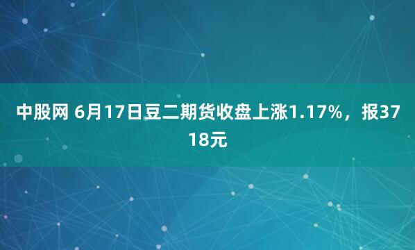 中股网 6月17日豆二期货收盘上涨1.17%，报3718元