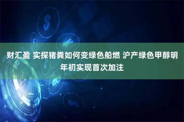 财汇盈 实探猪粪如何变绿色船燃 沪产绿色甲醇明年初实现首次加注