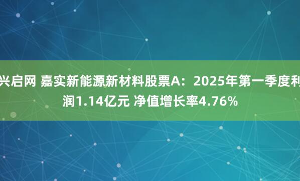 兴启网 嘉实新能源新材料股票A：2025年第一季度利润1.14亿元 净值增长率4.76%