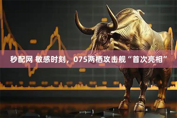 秒配网 敏感时刻，075两栖攻击舰“首次亮相”