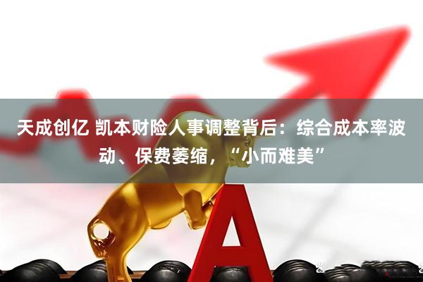 天成创亿 凯本财险人事调整背后:综合成本率波动、保费萎缩,“小而难美”