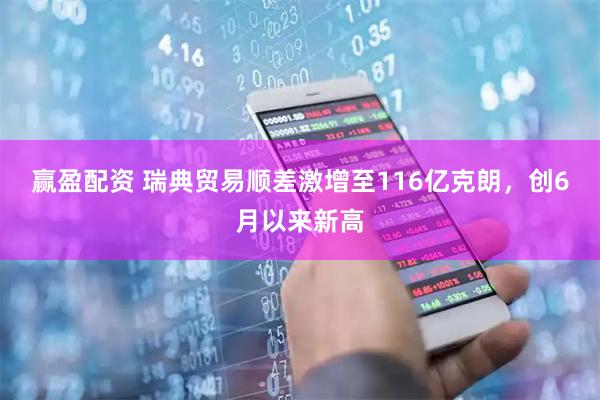 赢盈配资 瑞典贸易顺差激增至116亿克朗，创6月以来新高