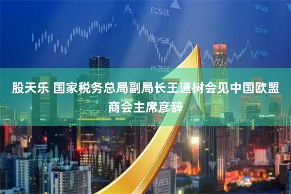 股天乐 国家税务总局副局长王道树会见中国欧盟商会主席彦辞