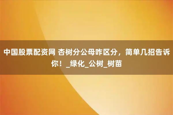 中国股票配资网 杏树分公母咋区分，简单几招告诉你！_绿化_公树_树苗